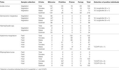Crimean–Congo Hemorrhagic Fever Virus and Borrelia burgdorferi sensu lato in Ticks from Kosovo and Albania